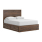 Janfyn Queen Panel Bed with Storage